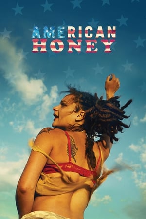 American Honey (2016) Hindi Dual Audio 500MB
