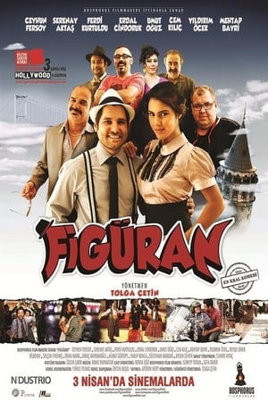 Figuran (2015) Hindi Dual Audio [950MB]