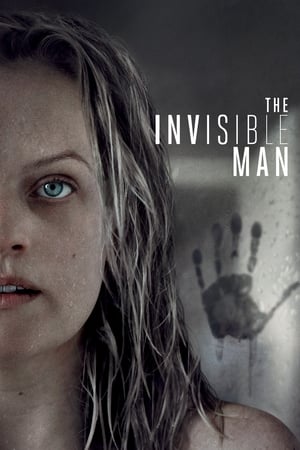 The Invisible Man (2020) Hindi (ORG) Dual Audio [1GB]