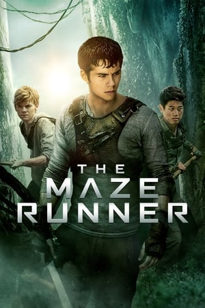 The Maze Runner (2014) Hindi Dual Audio [1.1GB]